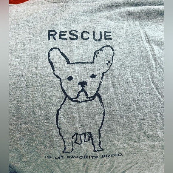 🔥NWT & LIKE NEW PET DOG LOVER LOUNGE T-SHIRT SHORT LOT OF 4 S/M BOSTON - Picture 6 of 7